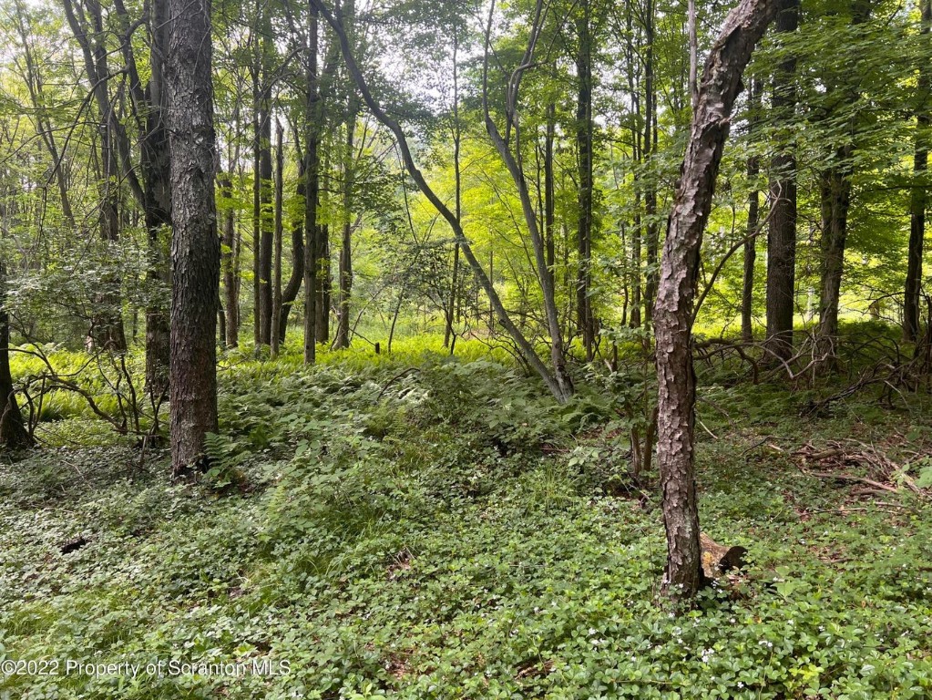 279 Sartell Road Thompson, PA 18465 - Photo 16 of 33 Gallery Image 16