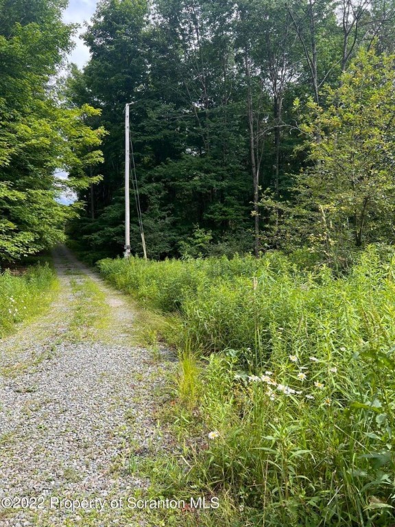 279 Sartell Road Thompson, PA 18465 - Photo 10 of 33 Gallery Image 10