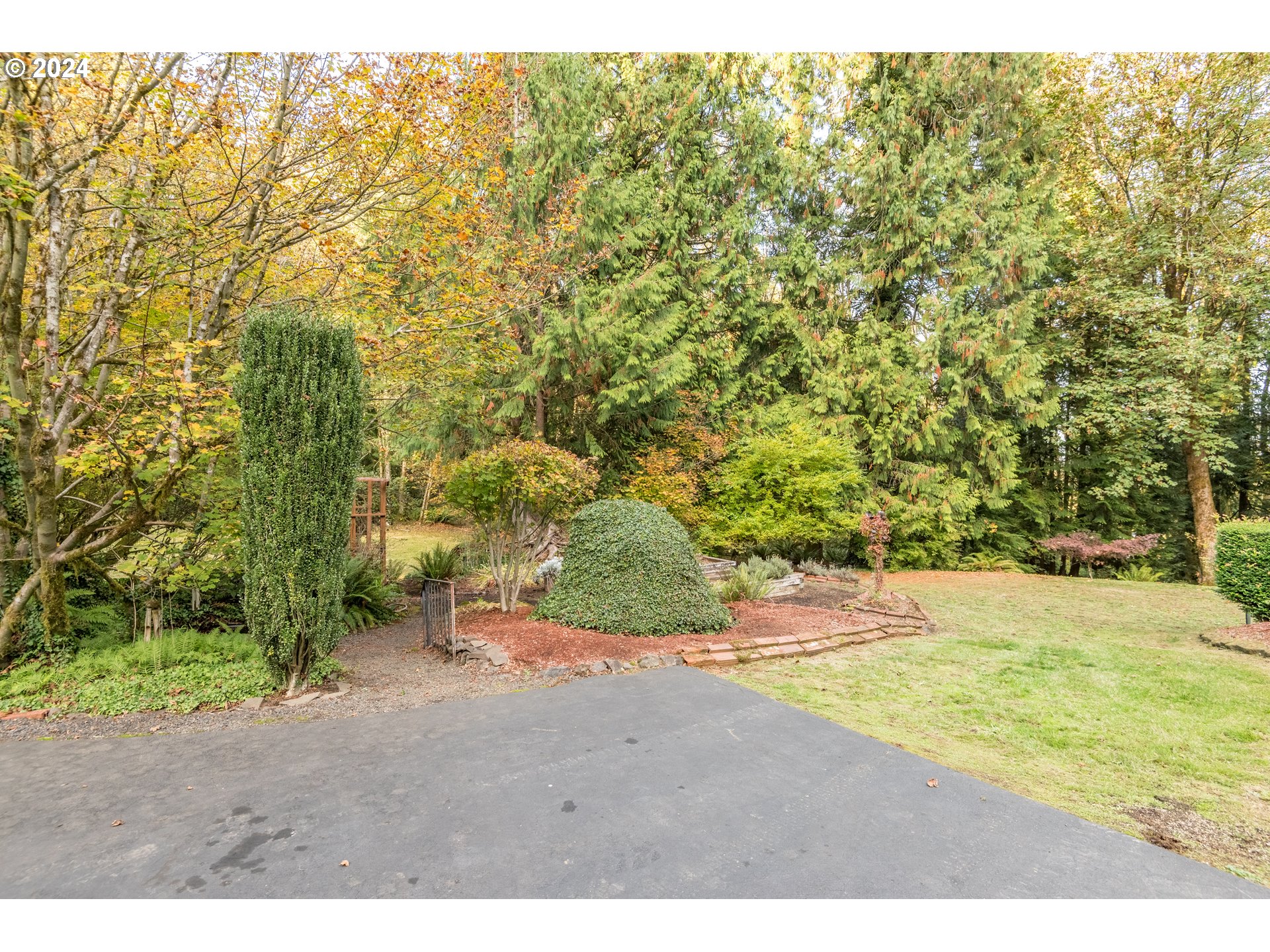 209 Car Road Longview, WA 98632 - Photo 38 of 40 a view of a yard with a tree