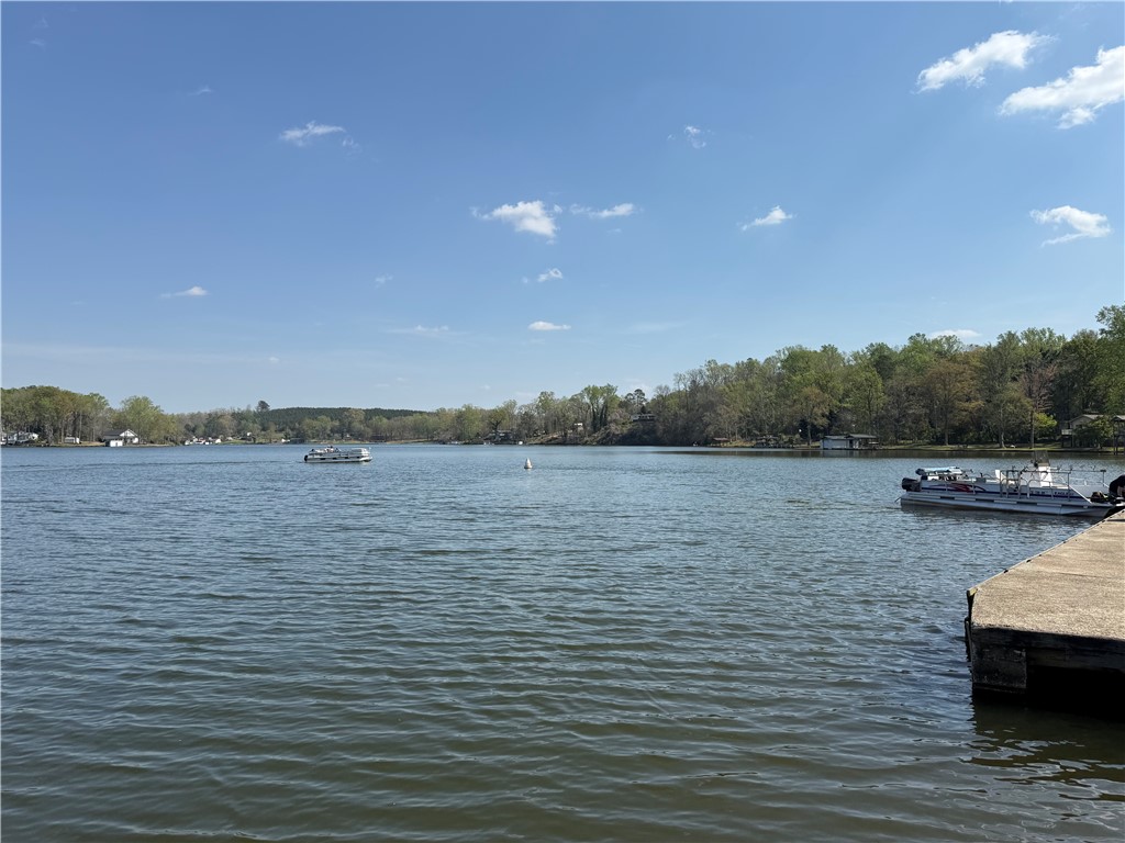 2949 High Shoals Road Anderson, SC 29624 - Photo 18 of 21 This serene waterfront setting offers direct access to the lake, perfect for leisure.