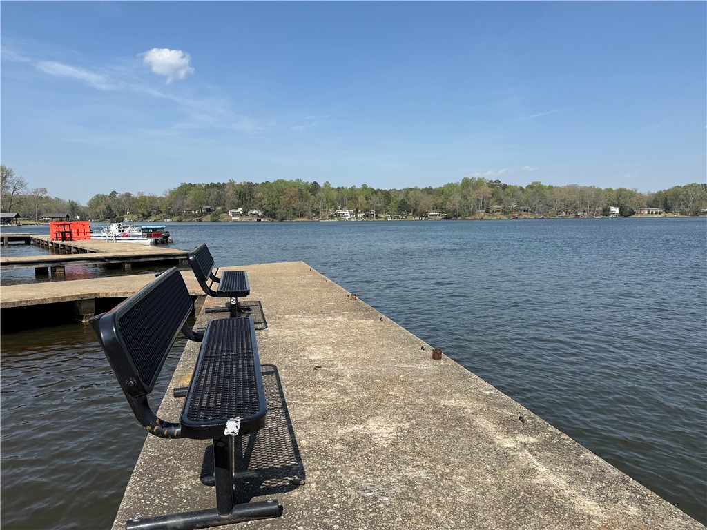 2949 High Shoals Road Anderson, SC 29624 - Photo 19 of 21 Enjoy tranquil water views from this inviting lakeside dock with convenient boat access.