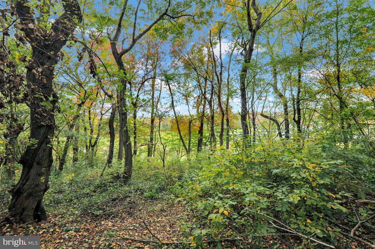 117 Reservoir Road Strasburg, PA 17579 - Photo 58 of 61 Gallery Image 58