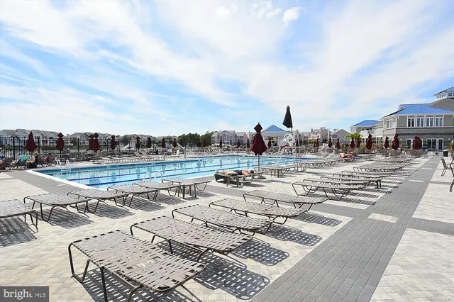 a view of a roof deck with palm tree