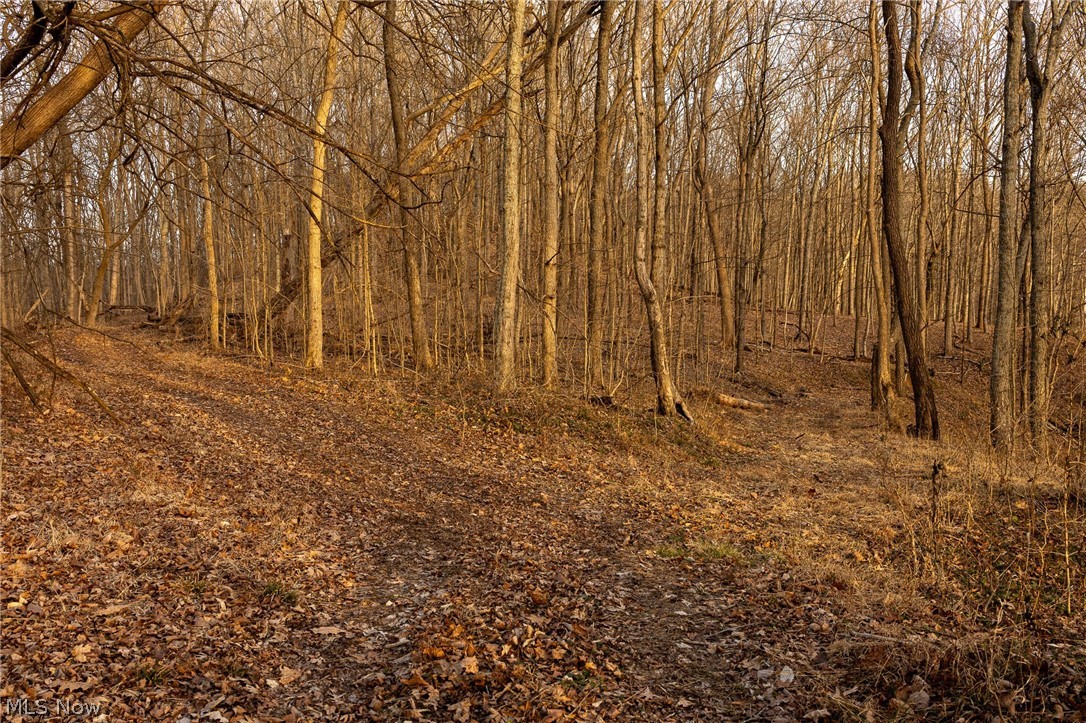 32290 Bailey Run Road Pomeroy, OH 45769 - Photo 14 of 41