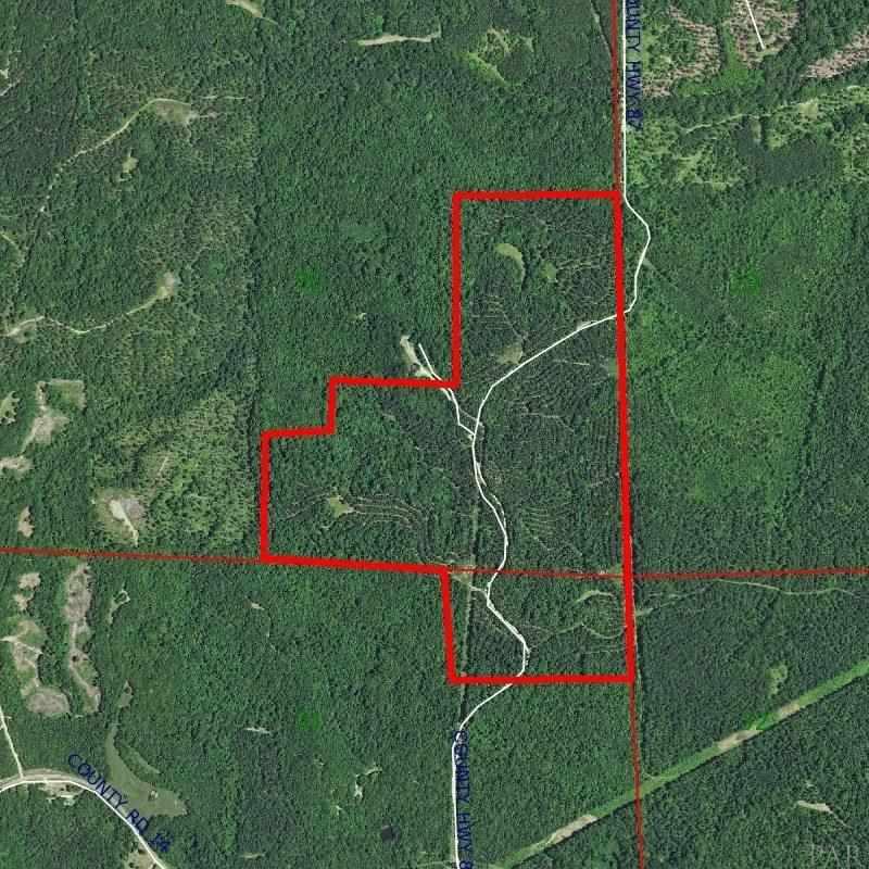 0 County Road Brantley, AL 36009 - Photo 1 of 1