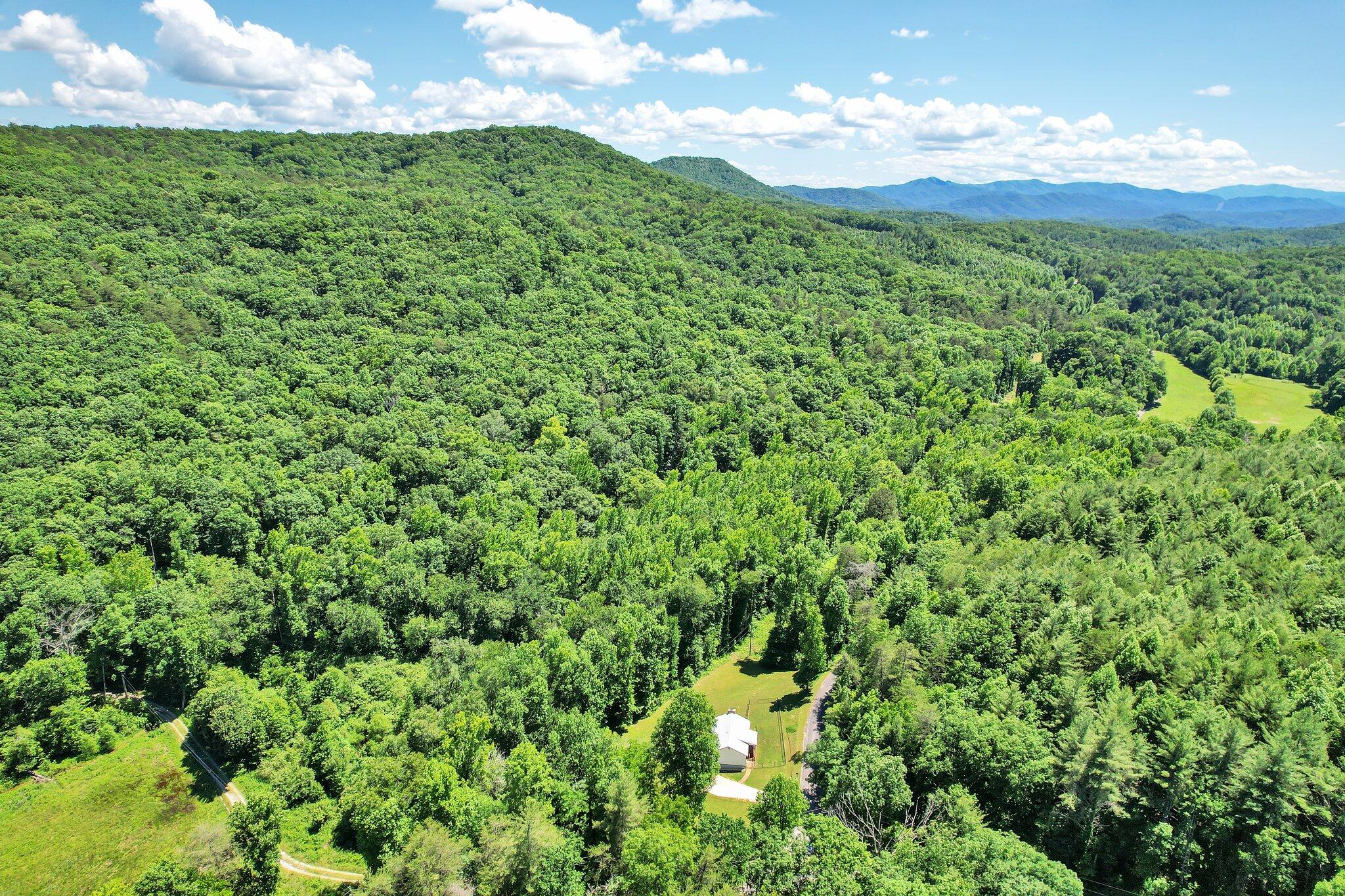 103 Dockery Road Tellico Plains, TN 37385 - Photo 34 of 34 12-web-or-mls-DJI_0387