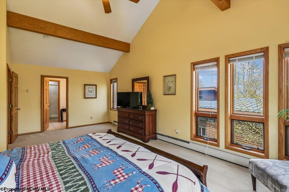 303 Slopeside Road Davis, WV 26260 - Photo 24 of 43 Gallery Image 24