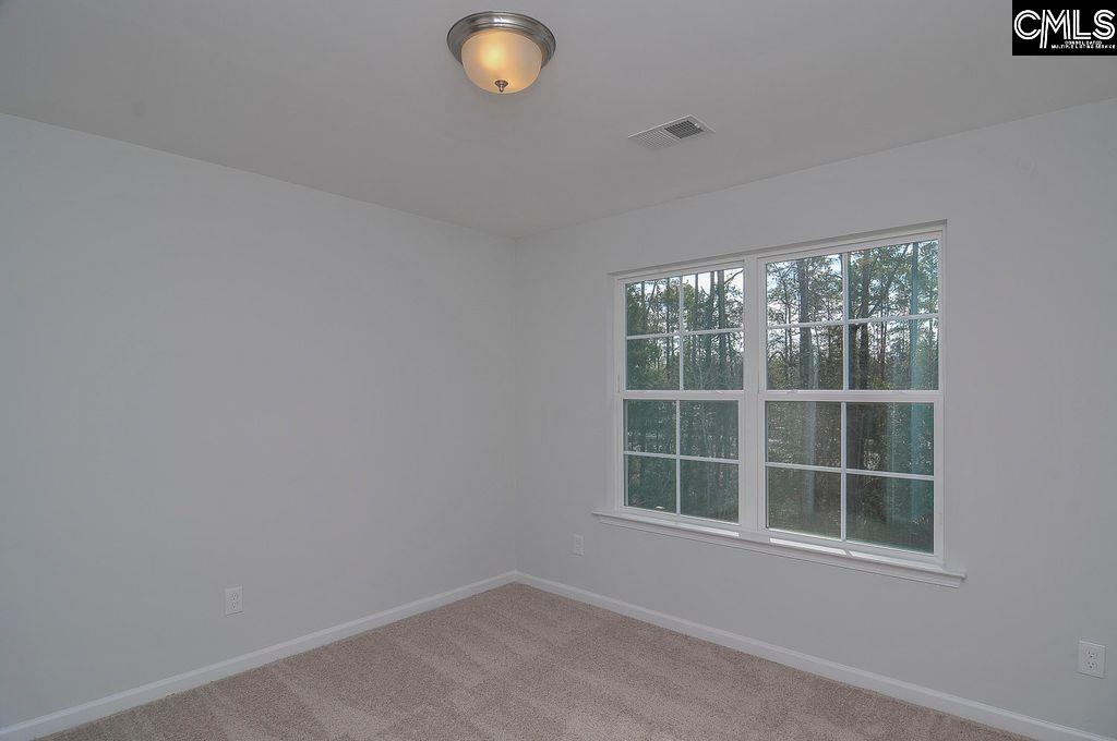 356 Hollow Cove Road Chapin, SC 29036 - Photo 29 of 29