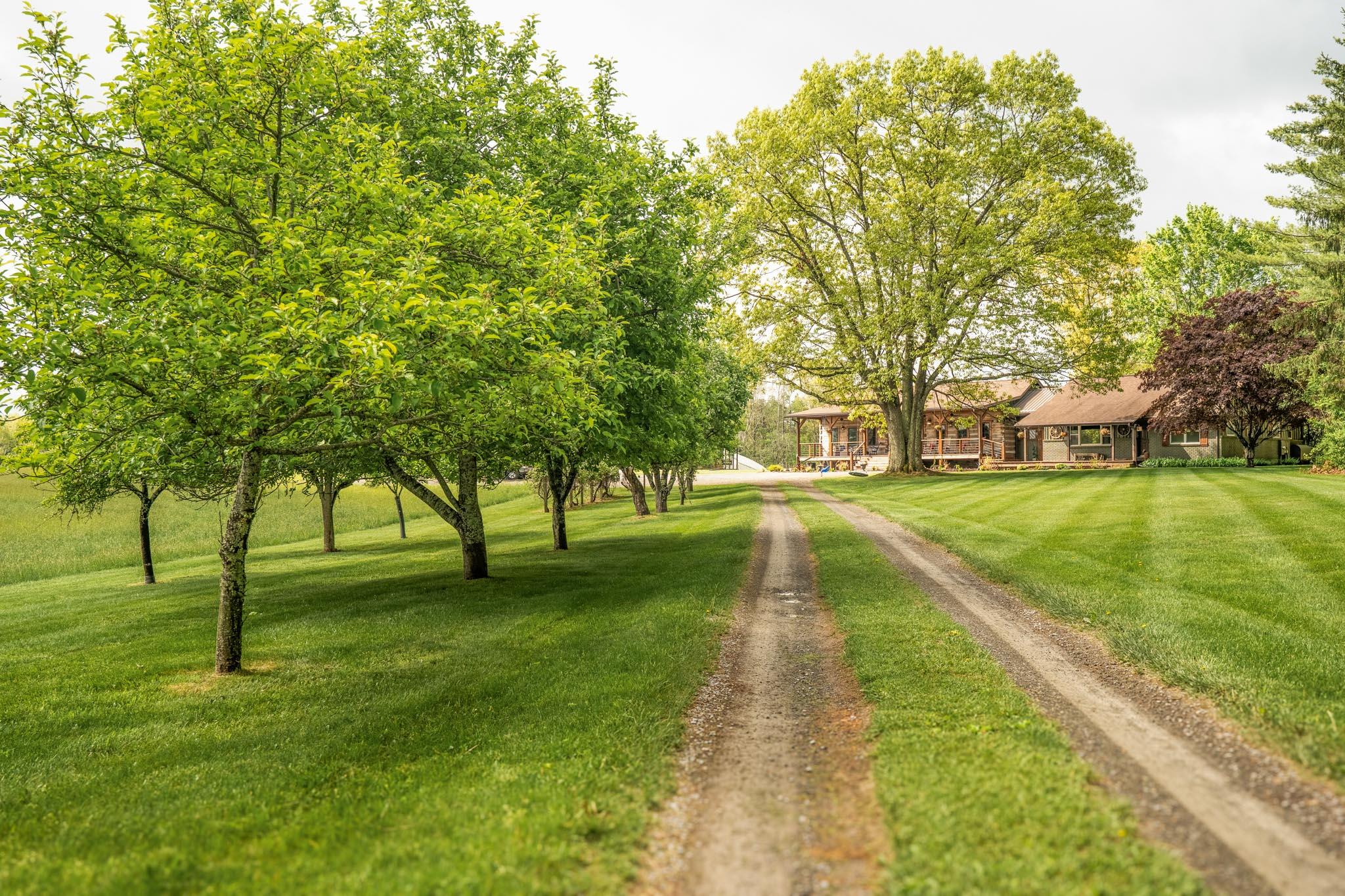 4609 Bozoo Road Peterstown, WV 24963 - Photo 73 of 95 74