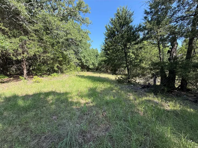 a view of outdoor space and yard