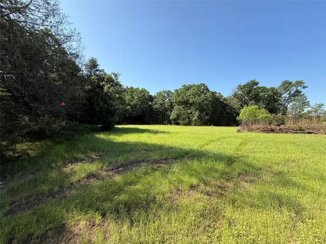 a view of field with trees in the background