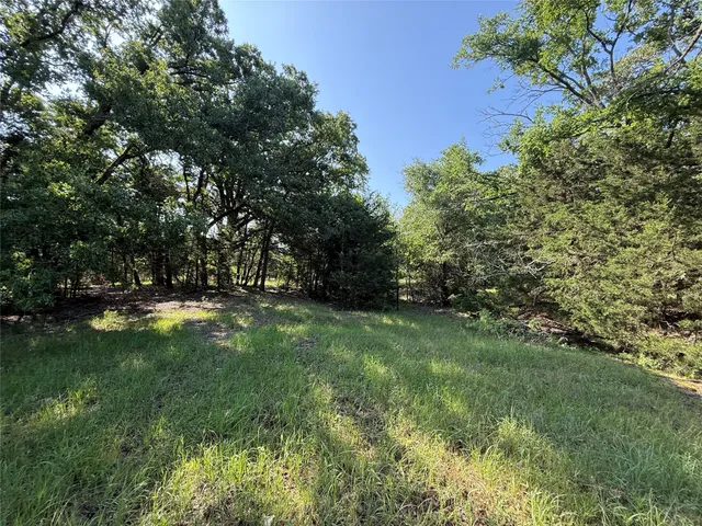 a view of outdoor space with a garden