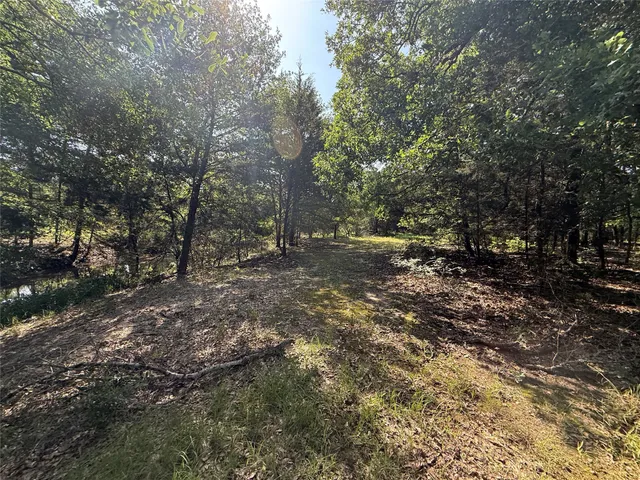 a view of outdoor space with lots of trees