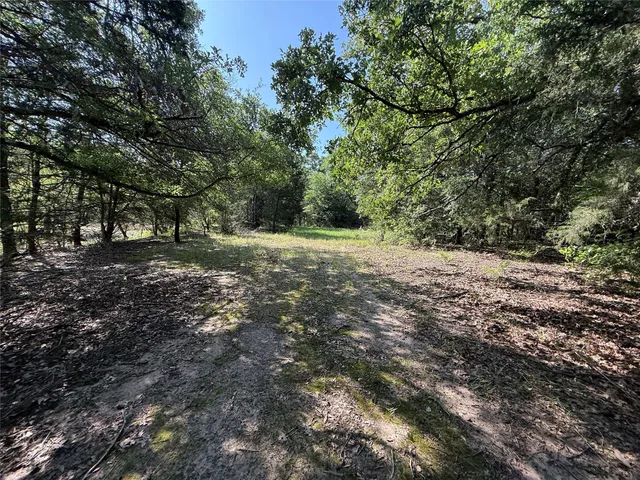 a big yard with lots of green space