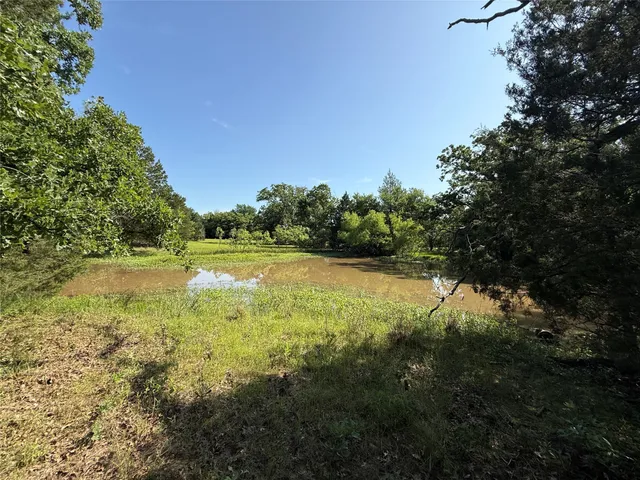 a view of a yard with a tree