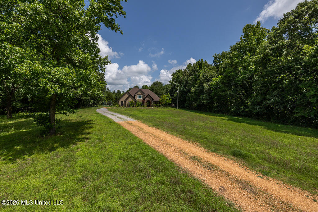772 Hagen Road Coldwater, MS 38618 - Photo 2 of 35 Hagen-46-34