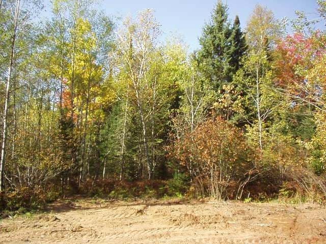 5405 Rice Creek Lane Eagle River, WI 54521 - Photo 3 of 6 Gallery Image 3