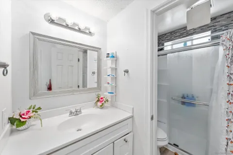a bathroom with a sink vanity mirror and toilet
