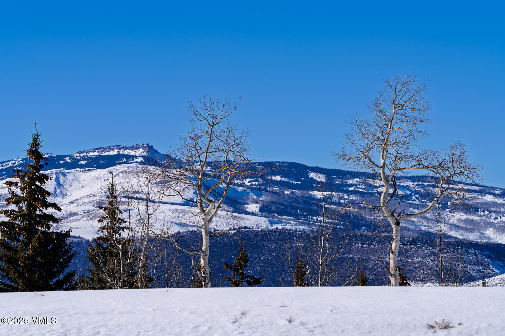 72 Martingale Lane Edwards, CO 81632 - Photo 11 of 52 a backyard of a house with lots of green space