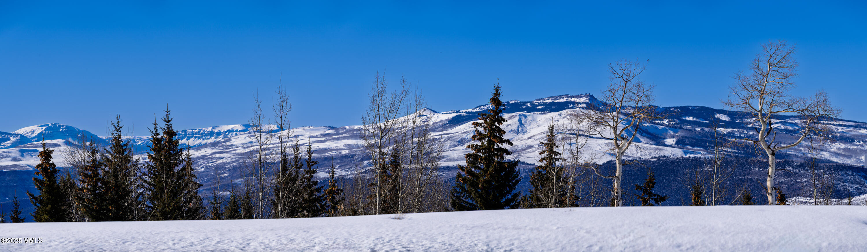 72 Martingale Lane Edwards, CO 81632 - Photo 12 of 52 a view of a bunch of trees