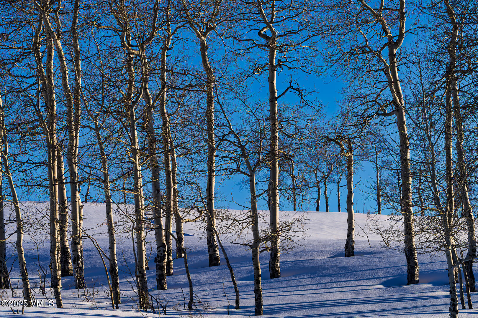 72 Martingale Lane Edwards, CO 81632 - Photo 15 of 52 a view of outdoor space with seating area