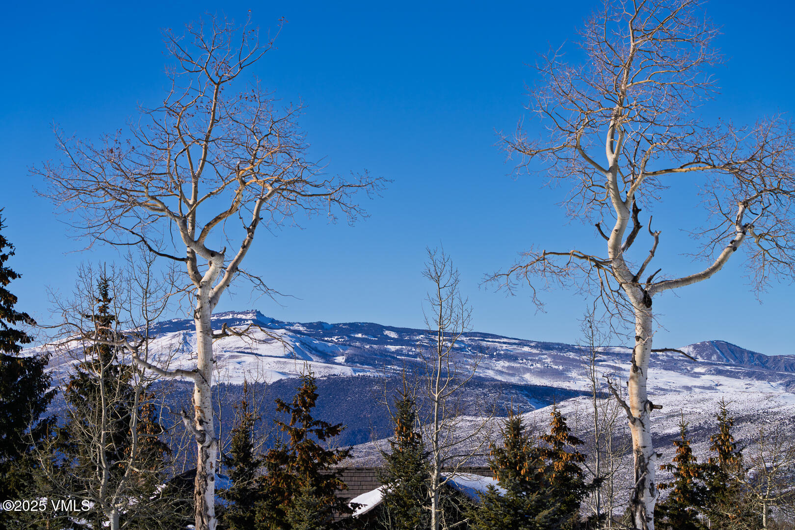 72 Martingale Lane Edwards, CO 81632 - Photo 20 of 52 a view of a backyard of the house