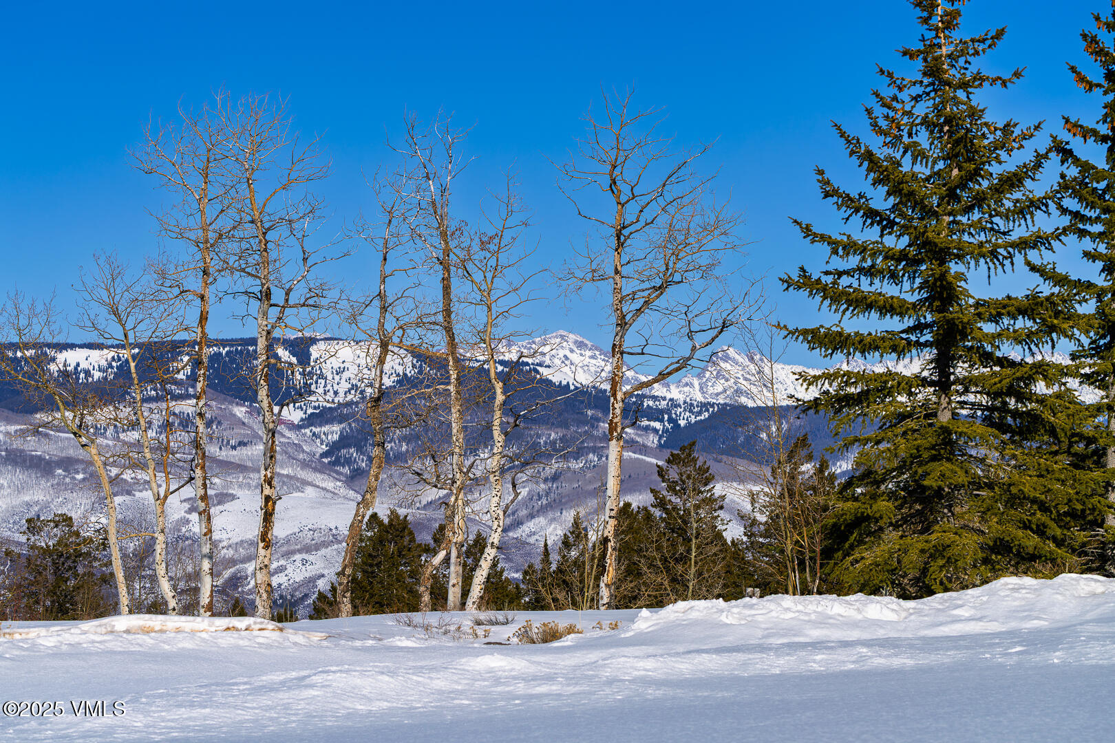 72 Martingale Lane Edwards, CO 81632 - Photo 21 of 52 front view of a house with a street