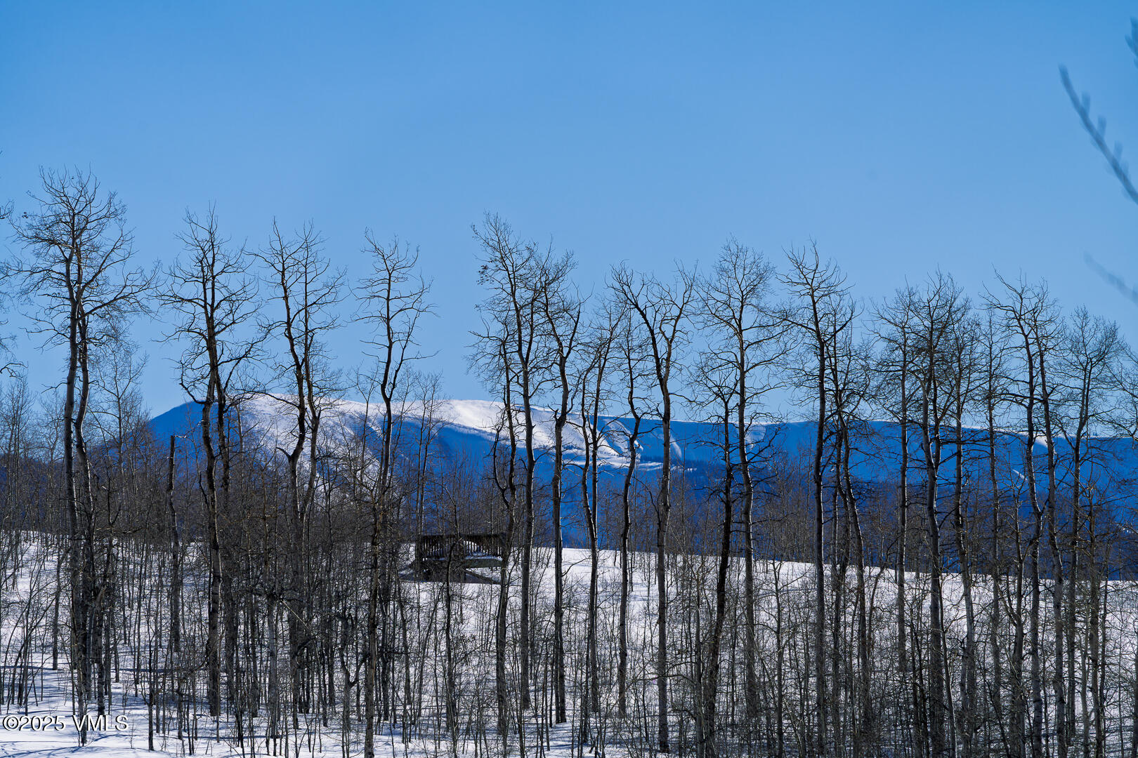 72 Martingale Lane Edwards, CO 81632 - Photo 27 of 52 a view of a forest with a trees
