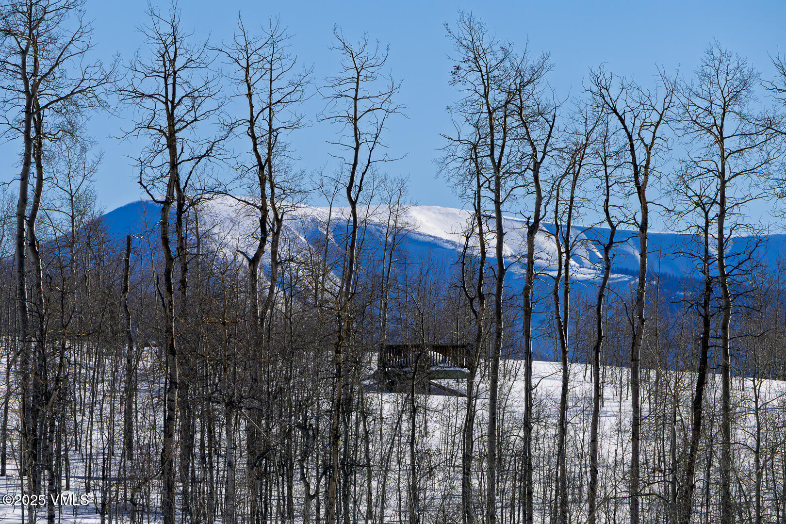 72 Martingale Lane Edwards, CO 81632 - Photo 28 of 52 a view of a forest
