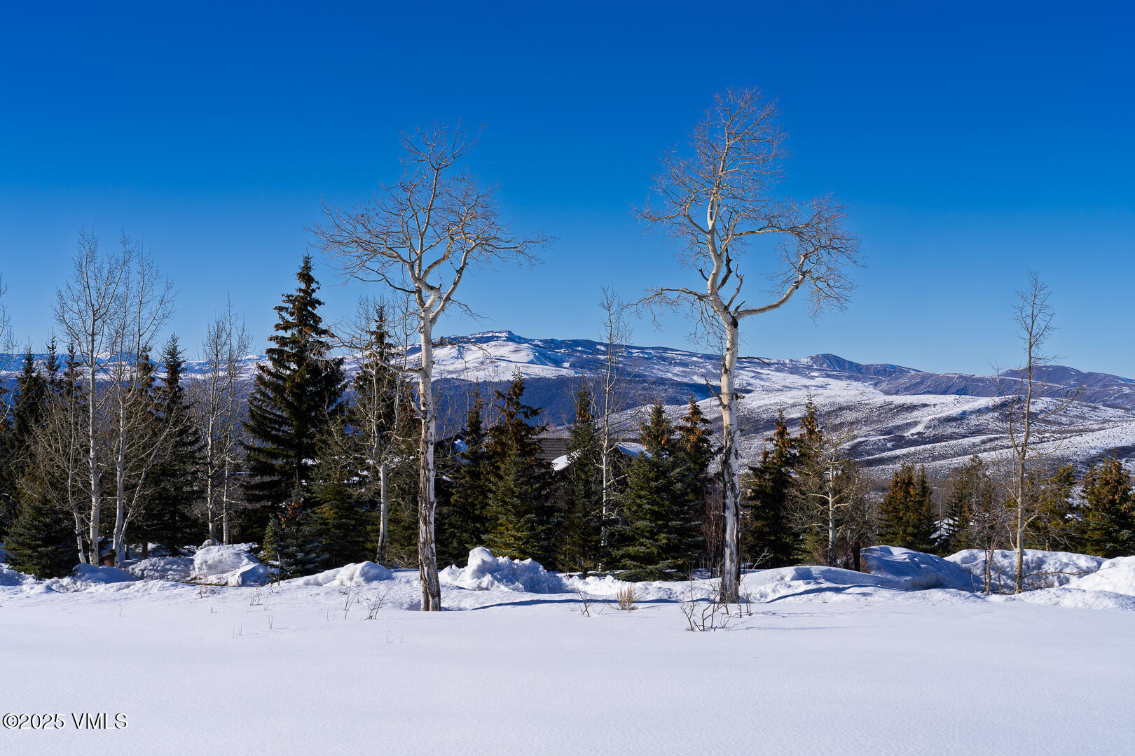 72 Martingale Lane Edwards, CO 81632 - Photo 32 of 52 a view of a house with snow on the road