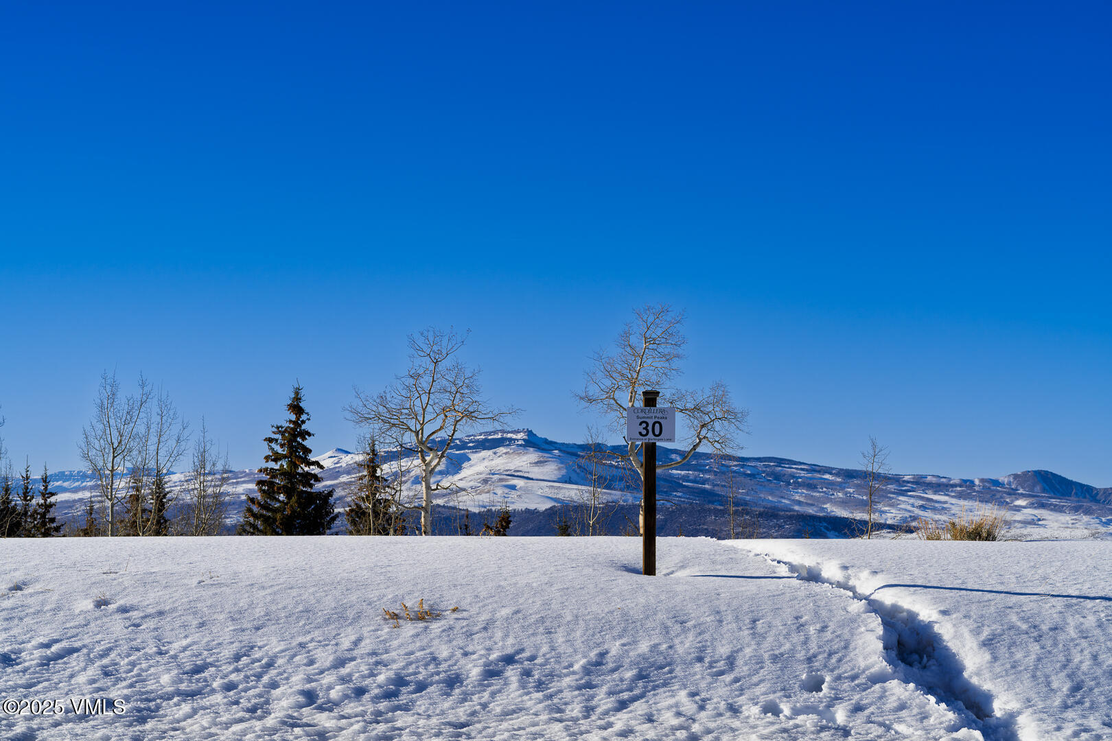 72 Martingale Lane Edwards, CO 81632 - Photo 48 of 52 a view of a backyard of a house