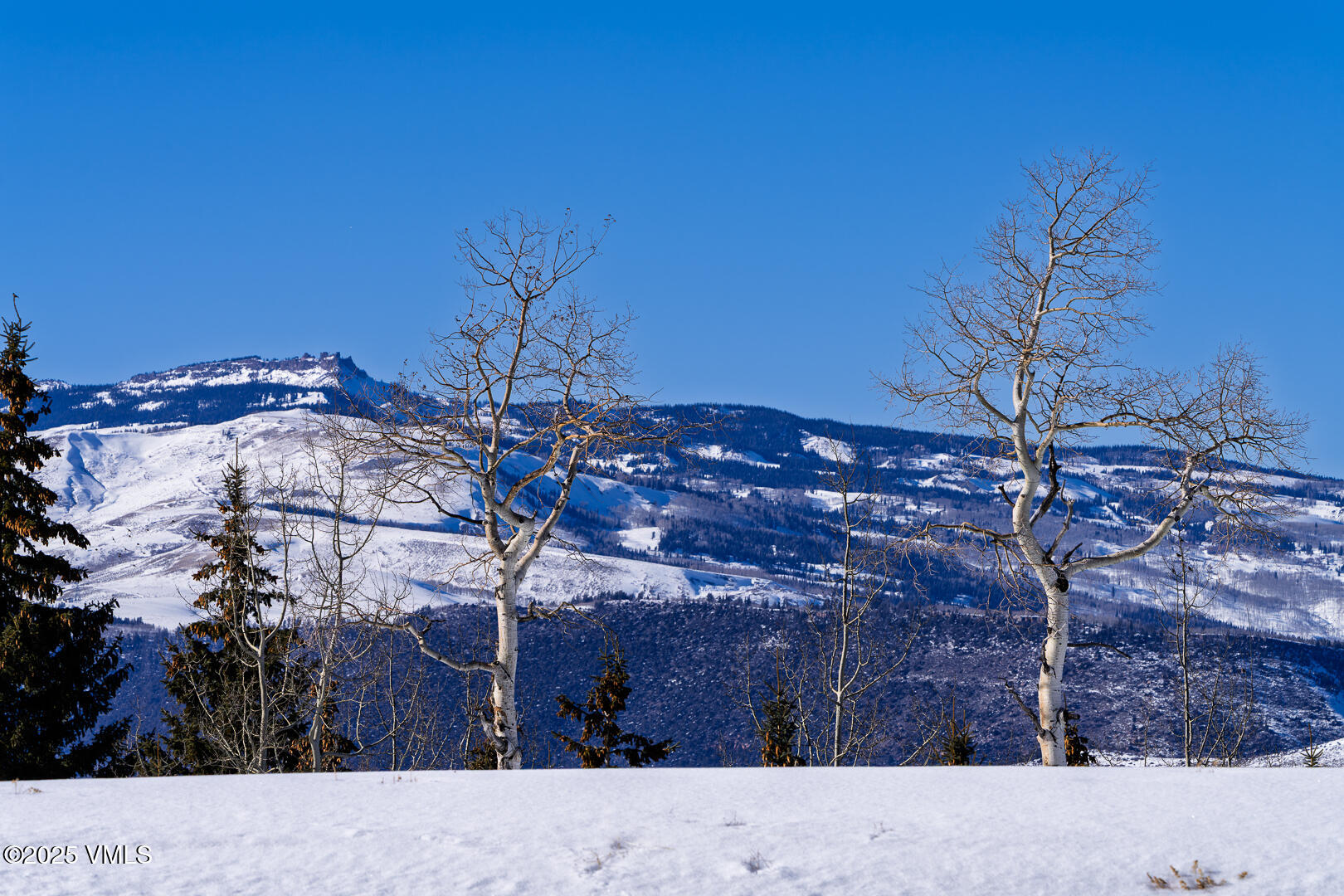 72 Martingale Lane Edwards, CO 81632 - Photo 10 of 52 a backyard of a house with lots of green space
