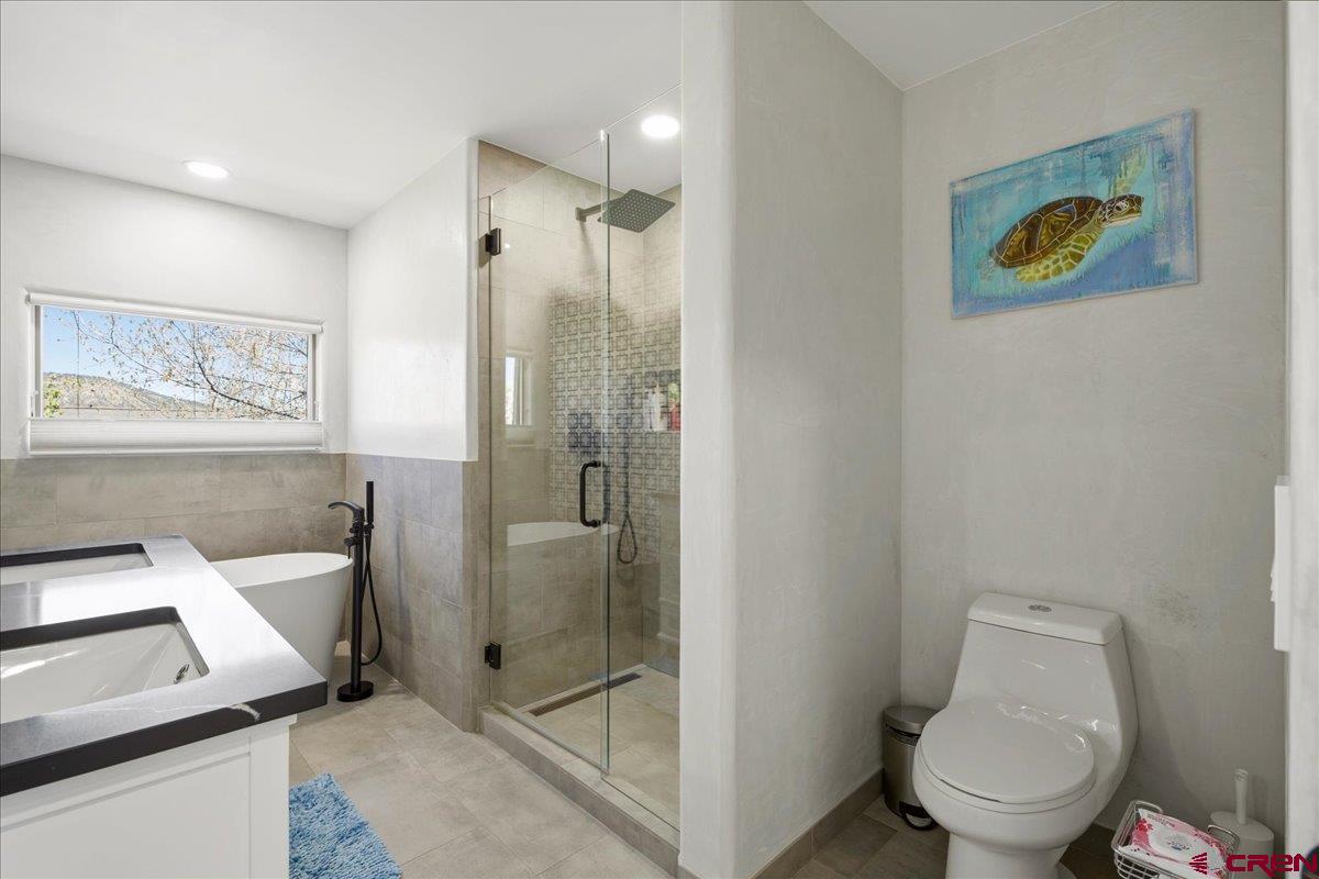 320 South Amelia Street Ridgway, CO 81432 - Photo 24 of 40 a bathroom with a toilet and a shower