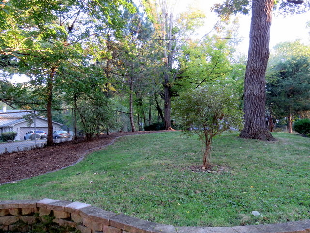 304 Ralph Court Island Lake, IL 60042 - Photo 15 of 16 a view of a yard with a tree