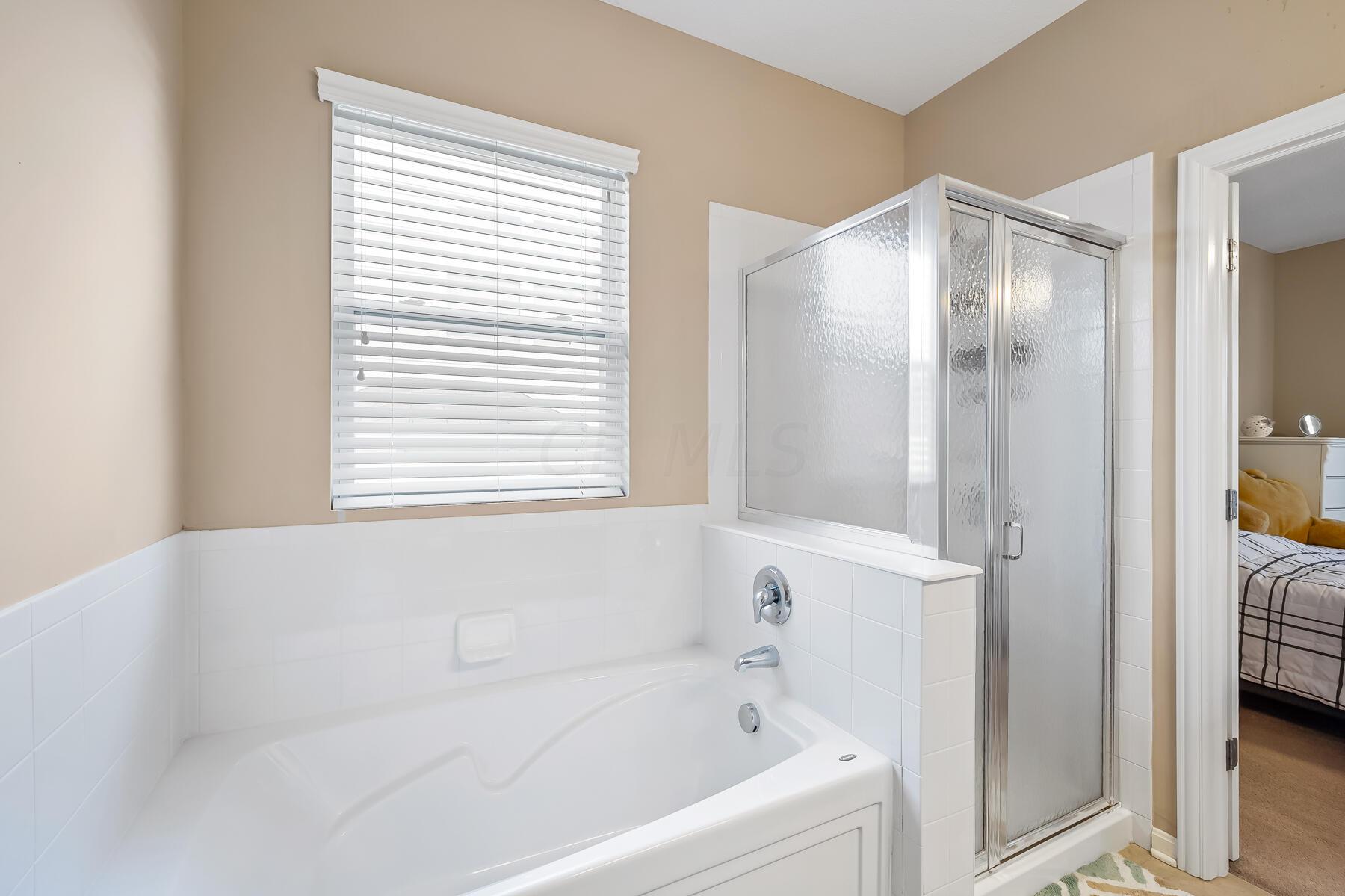 5757 Aderholt Road Dublin, OH 43016 - Photo 30 of 46 Garden Tub