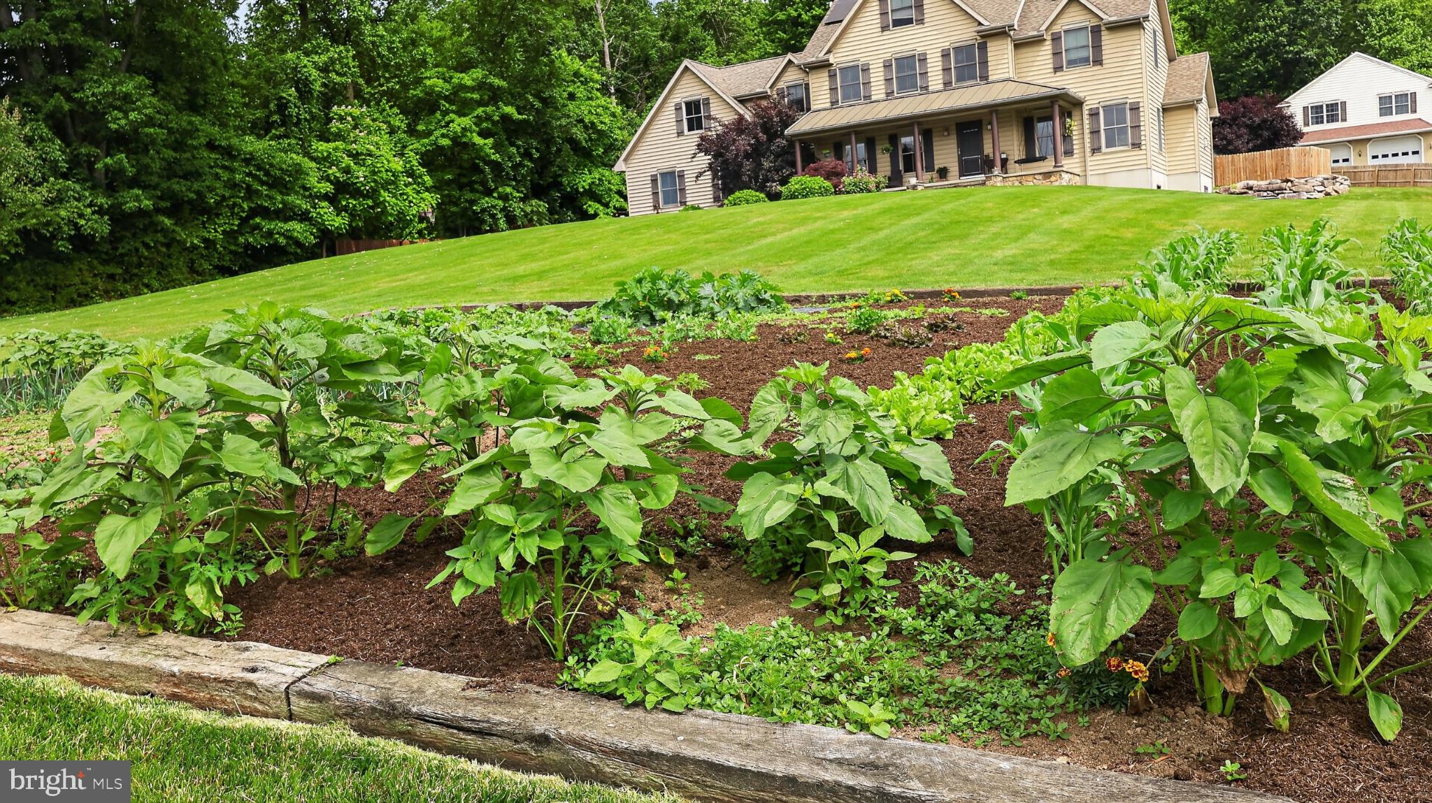 5325 Hammond Road New Holland, PA 17557 - Photo 2 of 73 Charming home with vibrant garden.
