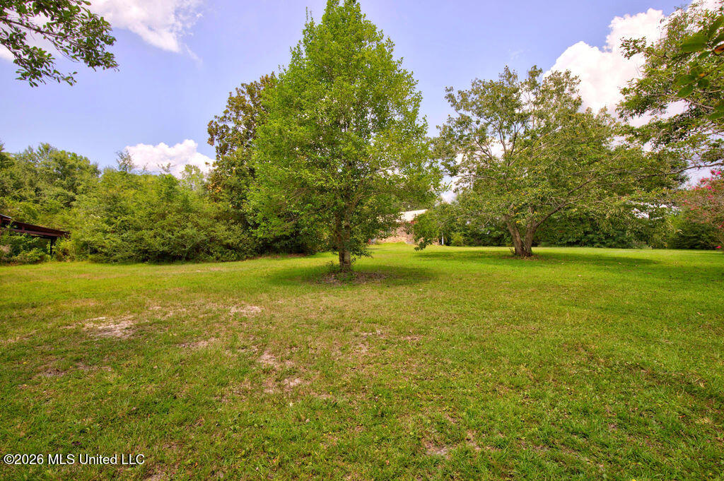 11257 Vidalia Road Pass Christian, MS 39571 - Photo 39 of 79 11257VidaliaRd.-45