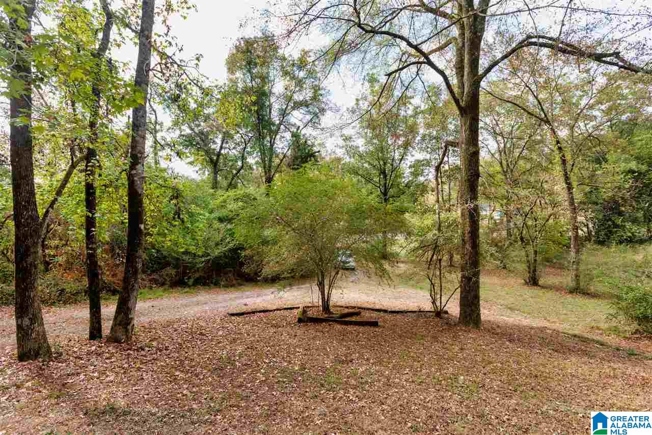 559 Highway 204 Montevallo, AL 35115 - Photo 16 of 35