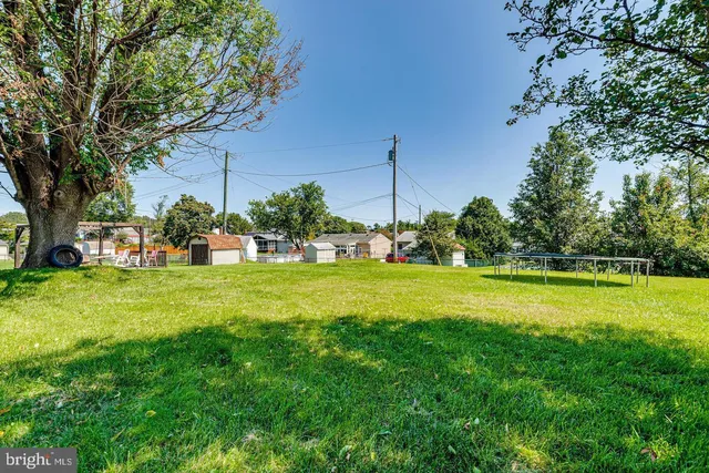 a view of a park with large trees