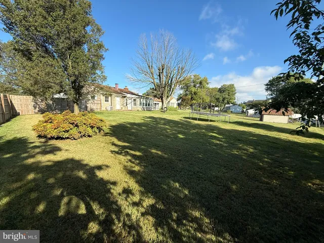 a view of a big yard with large trees