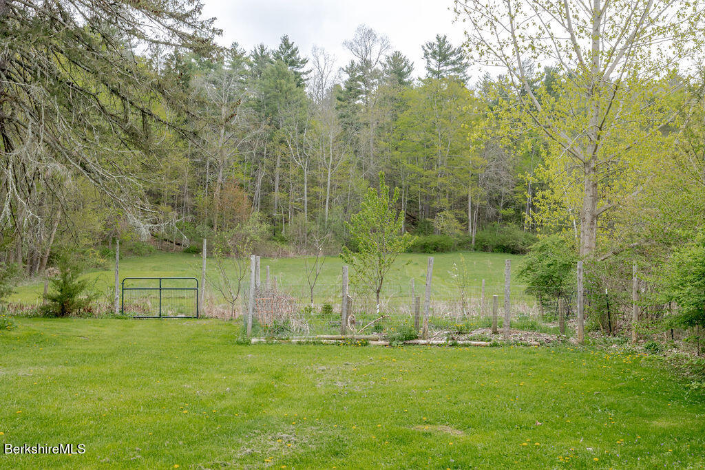 196 Norfolk Road New Marlborough, MA 01259 - Photo 7 of 39 View of Backyard