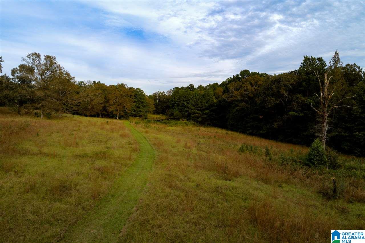 Serene Lake Road, Unit 8471 McCalla, AL 35111 - Photo 17 of 30