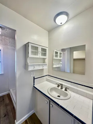 a bathroom with a sink and a mirror
