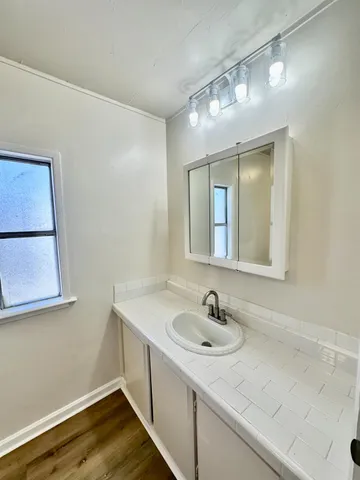 a bathroom with a sink and a mirror
