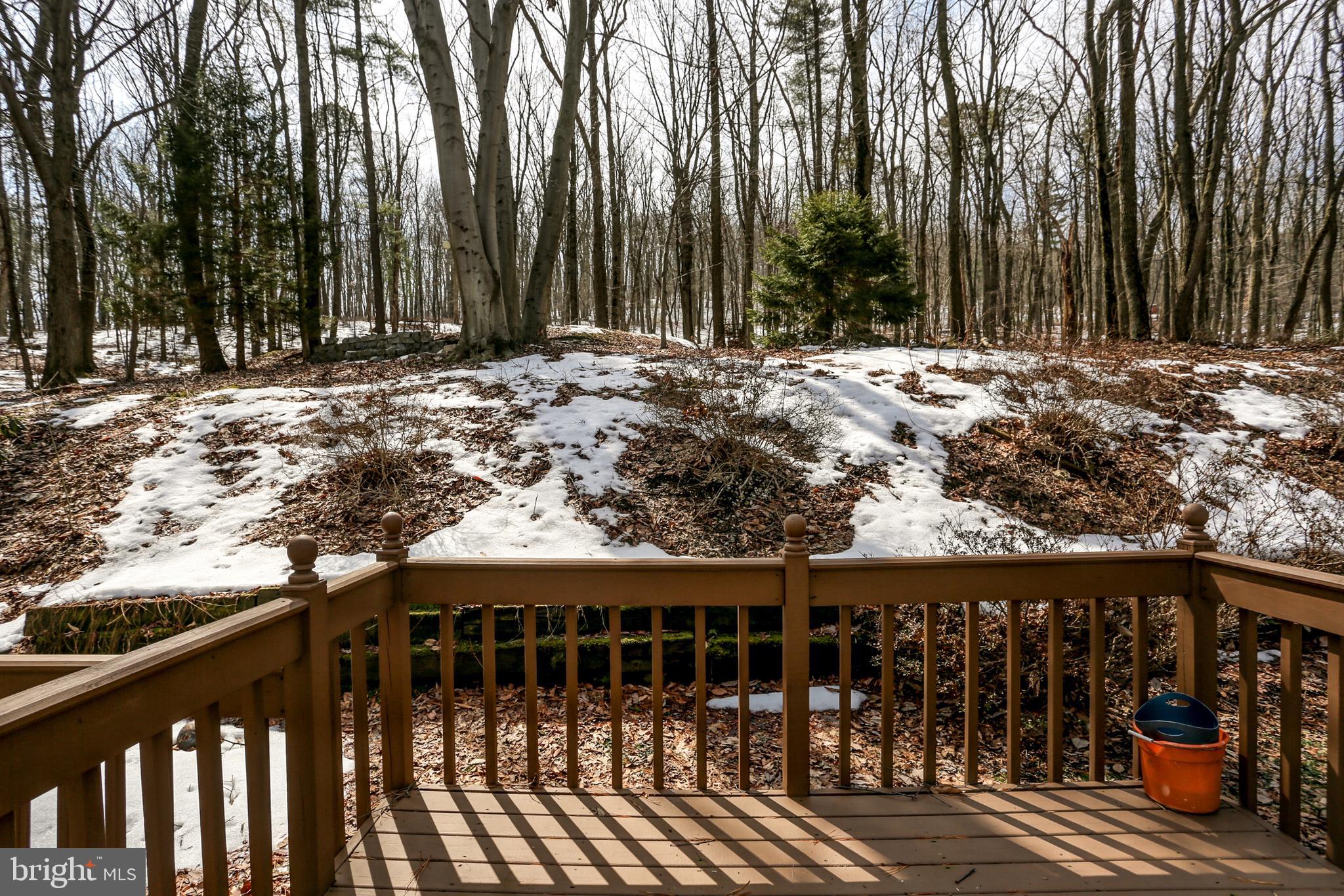 39 Chain Saw Road Dillsburg, PA 17019 - Photo 4 of 45 Gallery Image 4