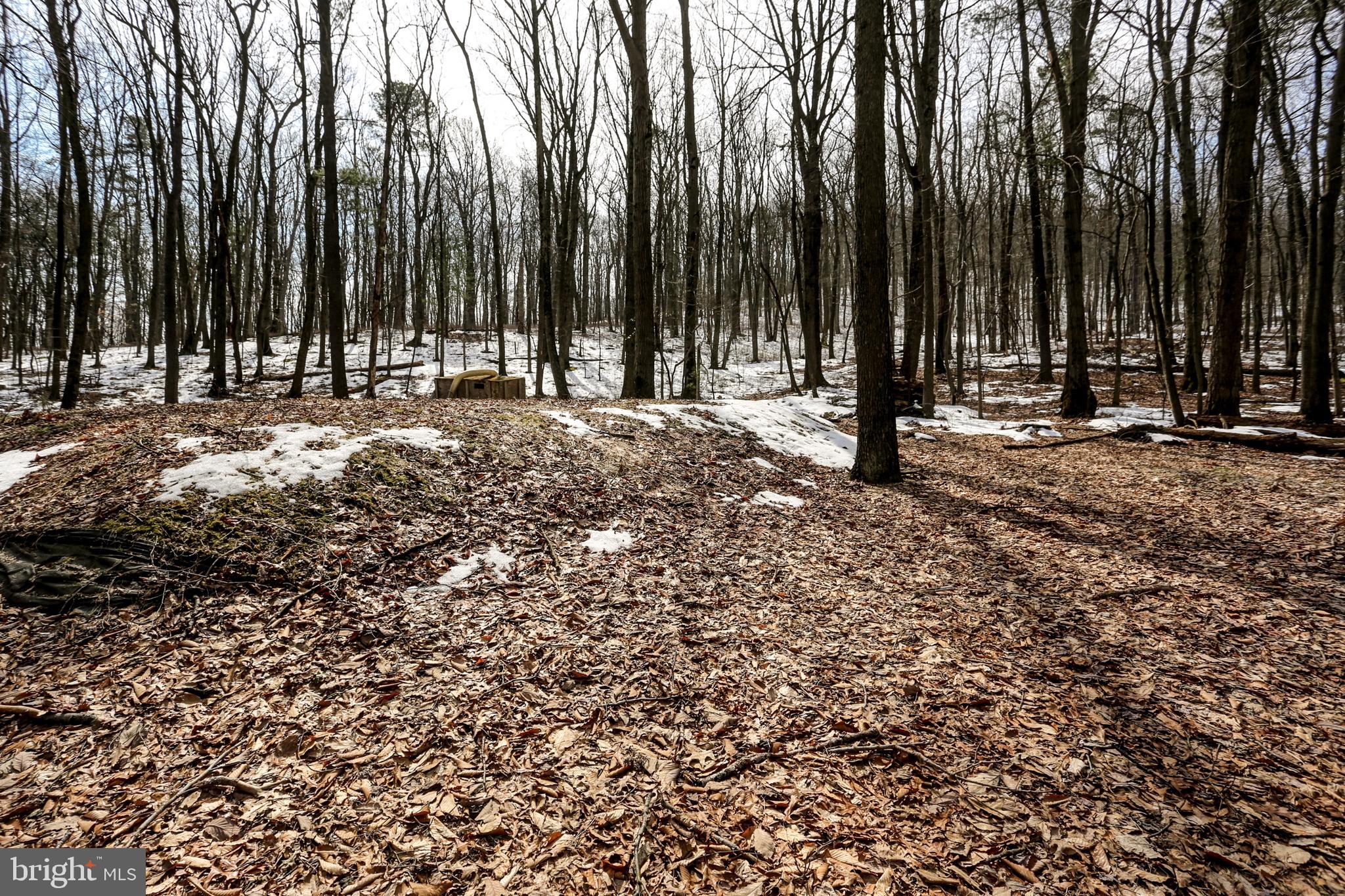39 Chain Saw Road Dillsburg, PA 17019 - Photo 43 of 45 Gallery Image 43