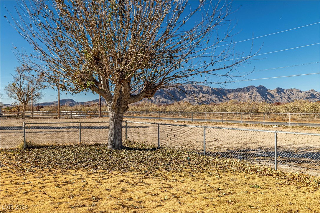 3320 North Blagg Road Pahrump, NV 89060 - Photo 24 of 32 Gallery Image 24