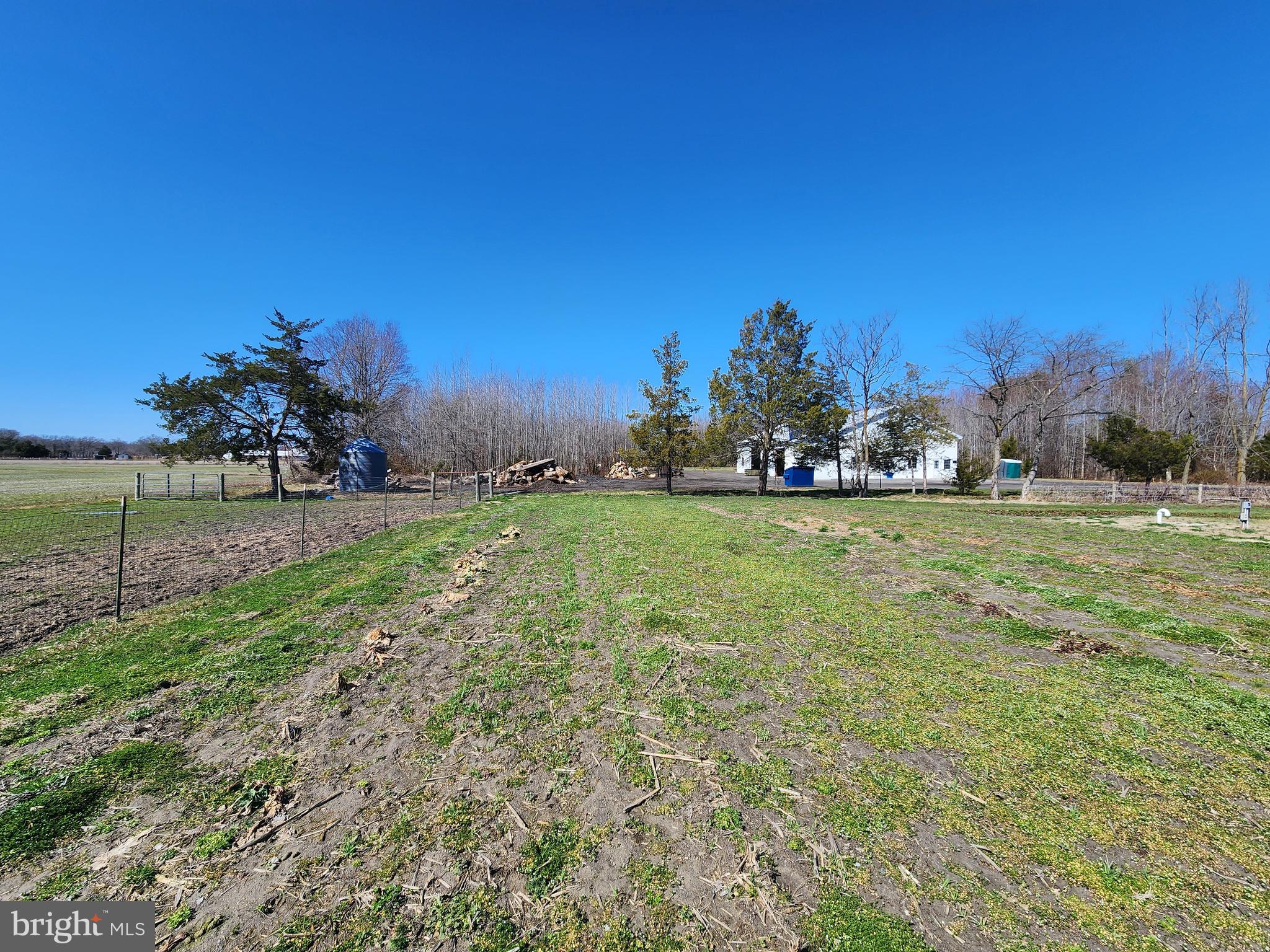 1337 Tower Road Camden Wyoming, DE 19934 - Photo 18 of 41 a view of a field with grass and trees
