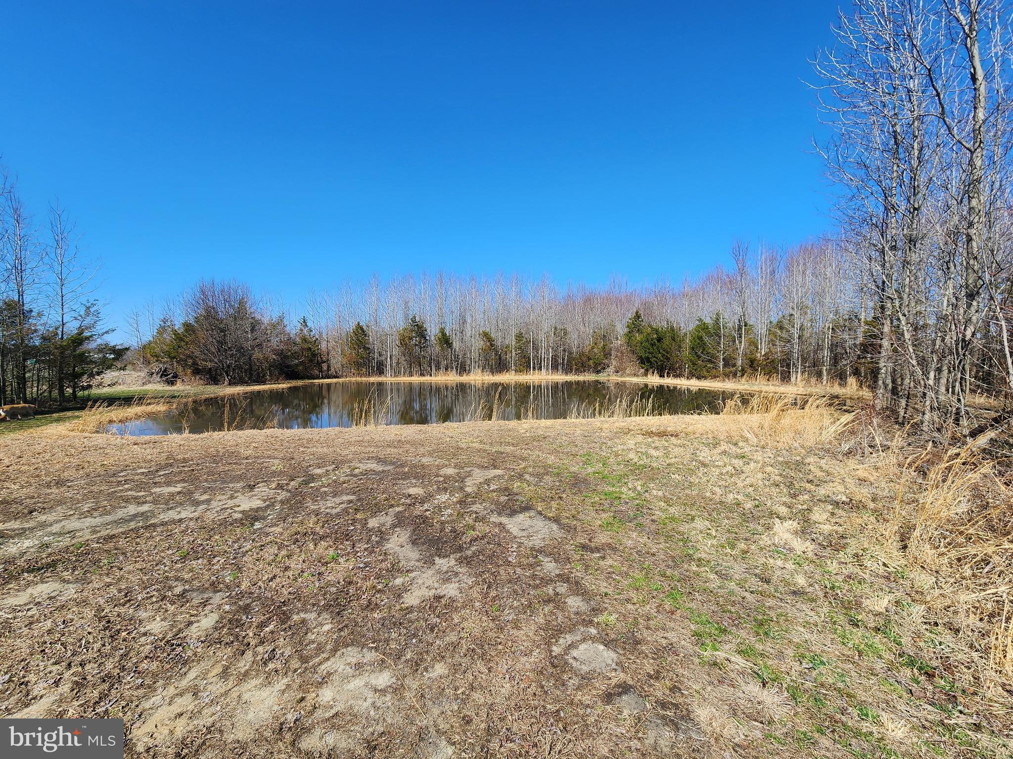 1337 Tower Road Camden Wyoming, DE 19934 - Photo 21 of 47