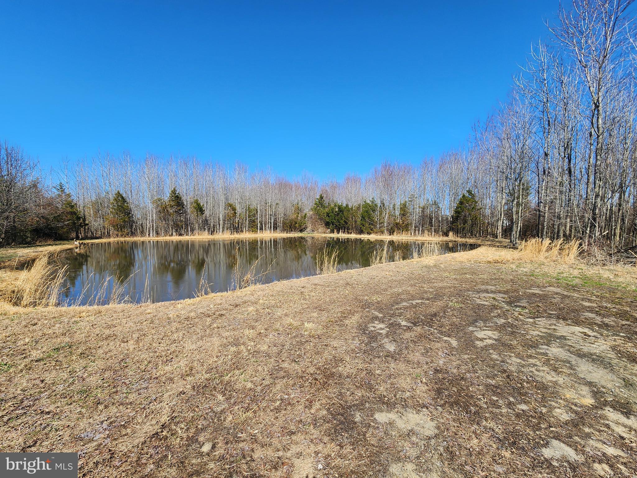 1337 Tower Road Camden Wyoming, DE 19934 - Photo 22 of 47